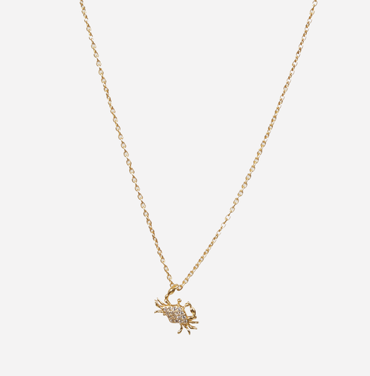 Oh Crab
