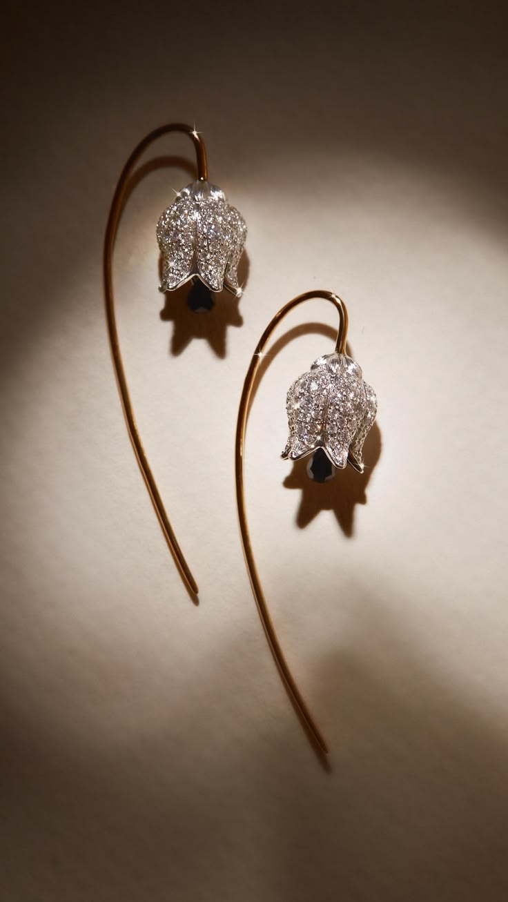 test product earrings